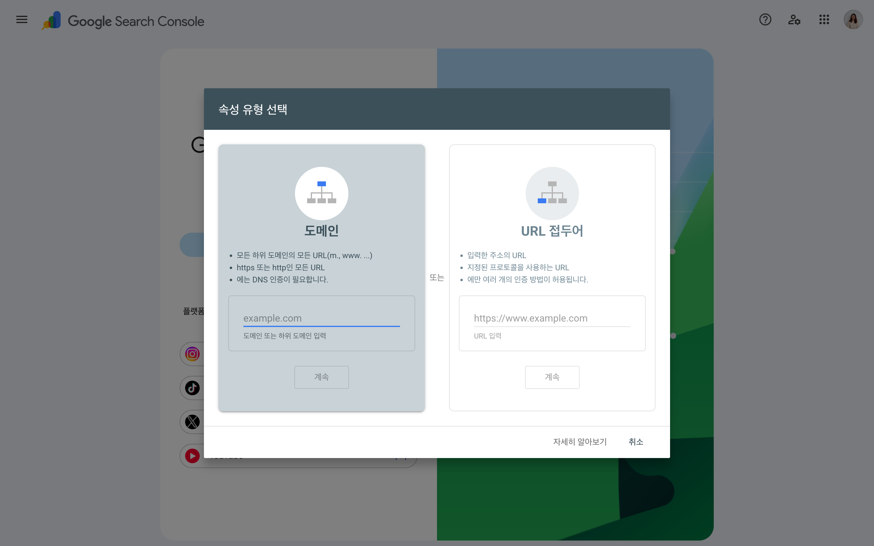 속성 유형 — 도메인 vs URL 접두어